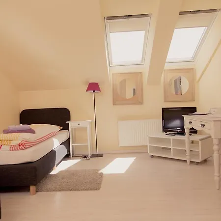 Heinsens 3*